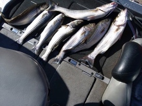 Fishing Trip Picture