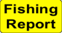 This Contains Updated Fishing Reports On Lake Pleasant, Bartlett Lake, Saguaro Lake, Canyon Lake Roosevelt Lake, Apache Lake, Alamo Lake, Woods Canyon Lake, And Willow Springs Lake.